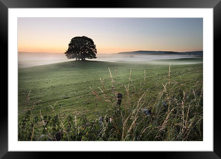 Airton Mist Framed Mounted Print by Steve Glover