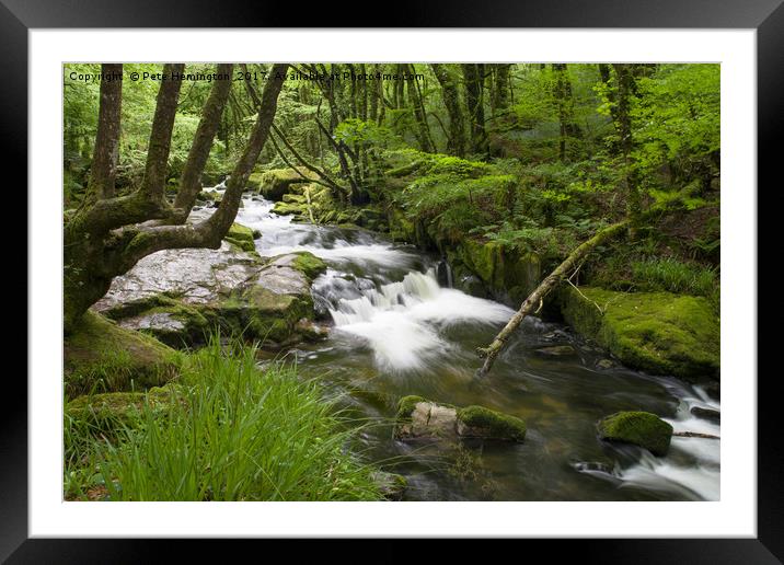 Golitha Falls Framed Mounted Print by Pete Hemington