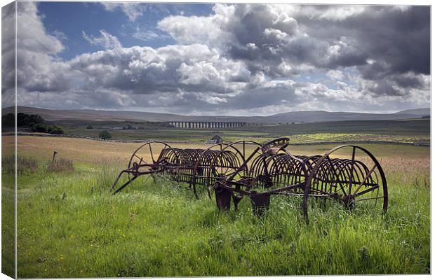 Ivescar Across To Ribblehead Canvas Print by Steve Glover