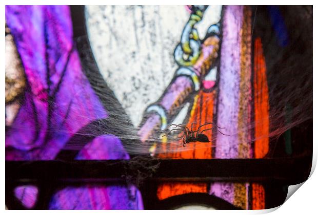 Creepy spider Print by Jackie Davies