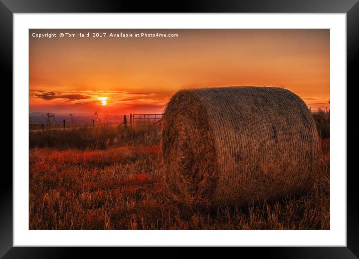 Sunset on the South Downs Framed Mounted Print by Tom Hard
