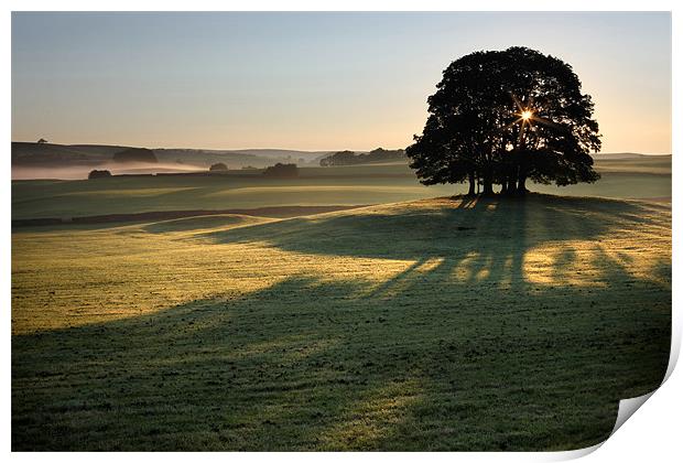 A New Day - Airton Print by Steve Glover