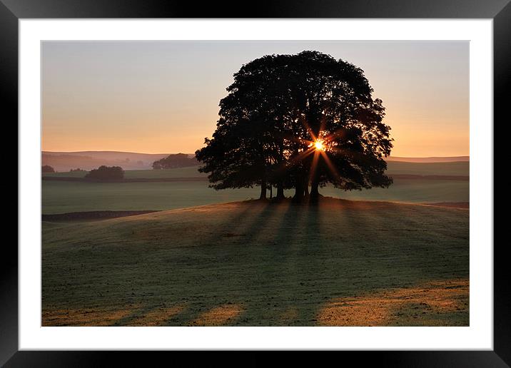 Airton Daybreak Framed Mounted Print by Steve Glover