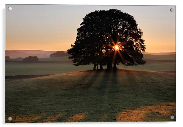 Airton Daybreak Acrylic by Steve Glover