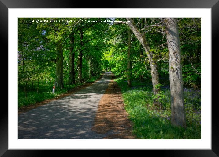 Out of the Woods! Framed Mounted Print by ALBA PHOTOGRAPHY