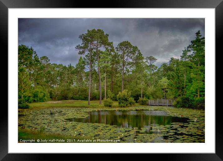 Tranquil Pond Framed Mounted Print by Judy Hall-Folde