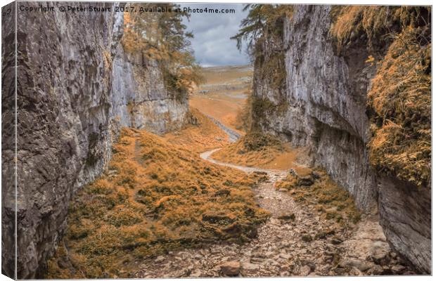 Trow Gill aboVr Clapham in the Yorkshire Dales Canvas Print by Peter Stuart