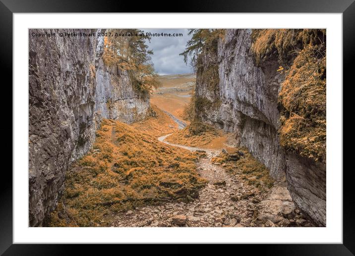 Trow Gill aboVr Clapham in the Yorkshire Dales Framed Mounted Print by Peter Stuart
