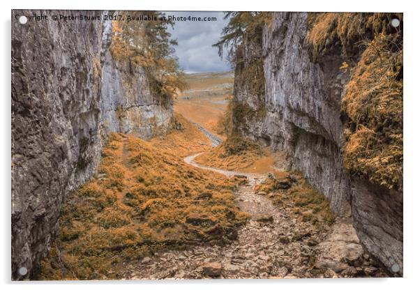 Trow Gill aboVr Clapham in the Yorkshire Dales Acrylic by Peter Stuart