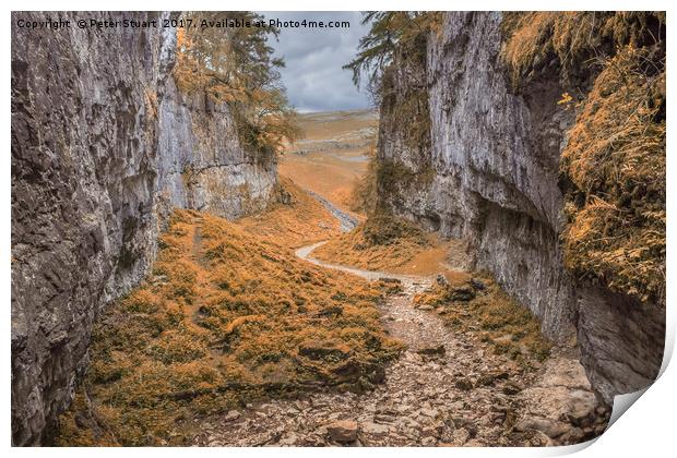 Trow Gill aboVr Clapham in the Yorkshire Dales Print by Peter Stuart