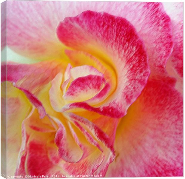yellow pink petals Canvas Print by Marinela Feier