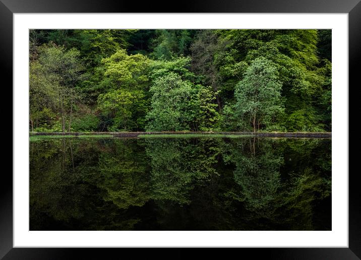 Seeing Double Framed Mounted Print by Nigel Smith