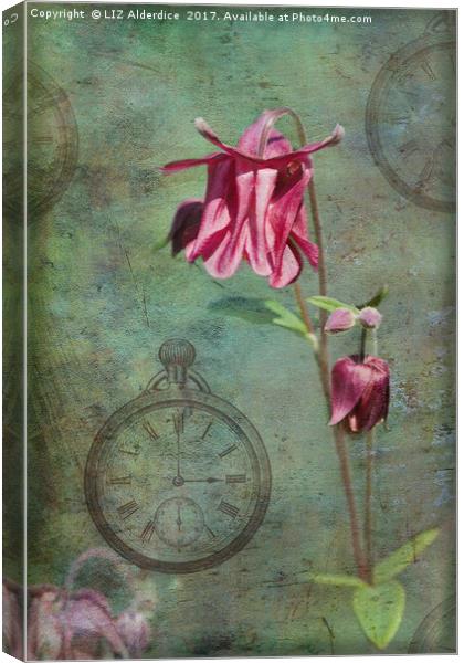 Spring Time Flowers Canvas Print by LIZ Alderdice
