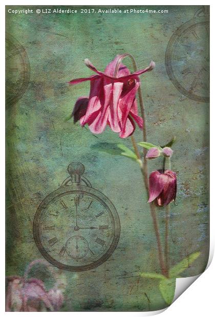 Spring Time Flowers Print by LIZ Alderdice