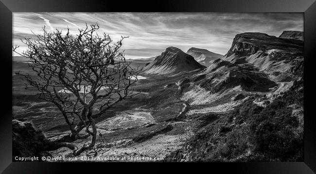 The Quiraing No7 Framed Print by David Brown