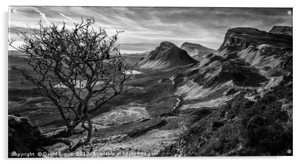 The Quiraing No7 Acrylic by David Brown
