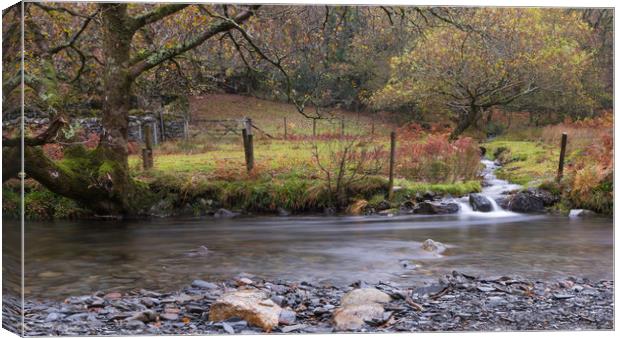 Snowdonia River Junction Canvas Print by Alan Barr