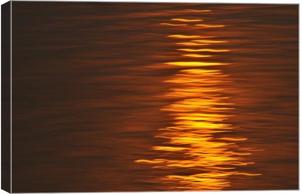 Sun Reflection Canvas Print by Scott Anderson