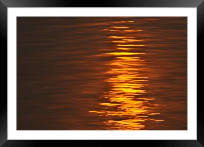 Sun Reflection Framed Mounted Print by Scott Anderson