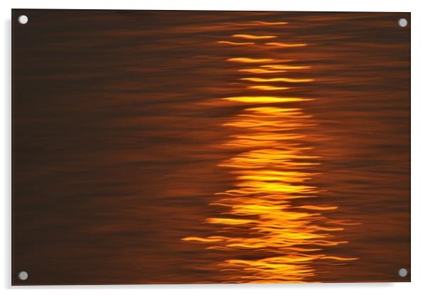Sun Reflection Acrylic by Scott Anderson