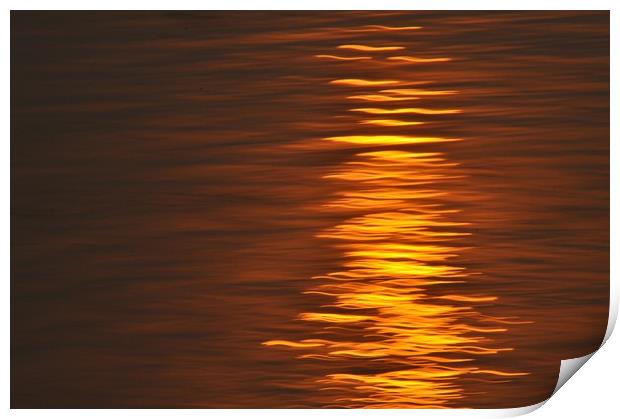 Sun Reflection Print by Scott Anderson