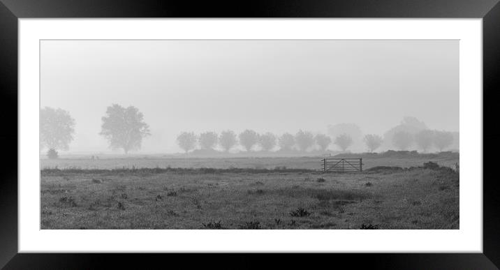 morning mist on the somerset levels Framed Mounted Print by kevin murch