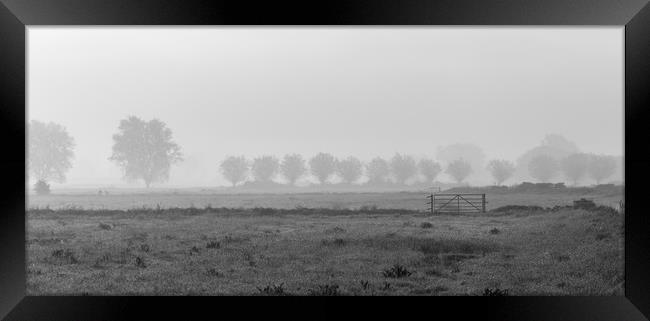 morning mist on the somerset levels Framed Print by kevin murch