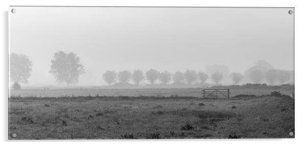 morning mist on the somerset levels Acrylic by kevin murch