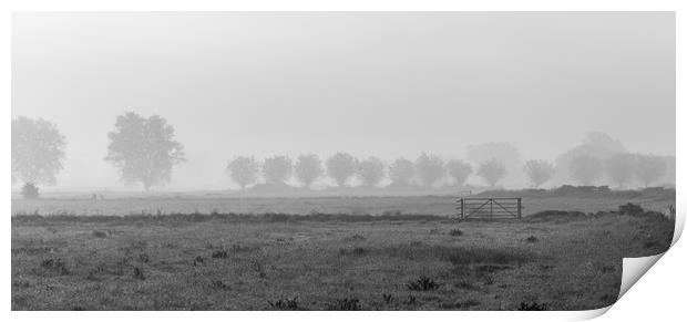 morning mist on the somerset levels Print by kevin murch
