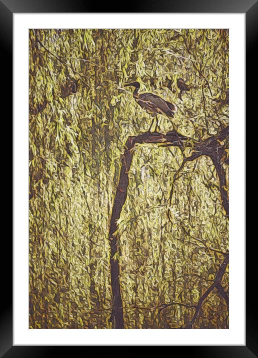 Bird in Tree Framed Mounted Print by Scott Anderson