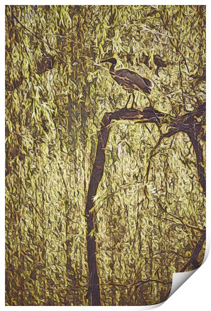 Bird in Tree Print by Scott Anderson