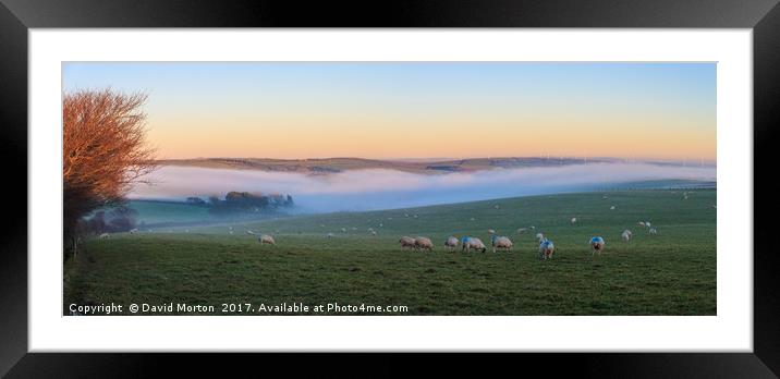 Mist in the Valley Framed Mounted Print by David Morton