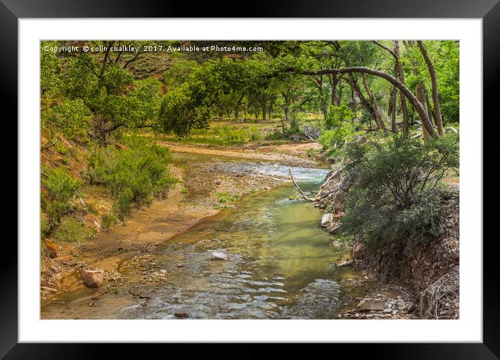 Zion National Park USA Framed Mounted Print by colin chalkley