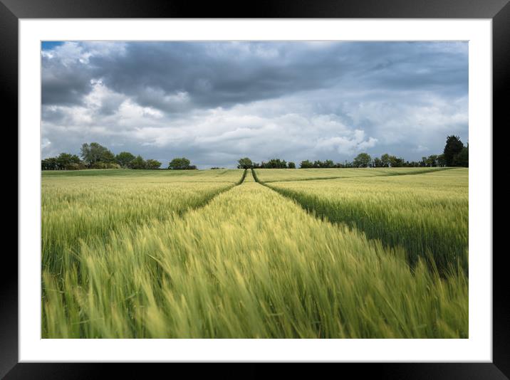 British Summer Framed Mounted Print by Rob Camp