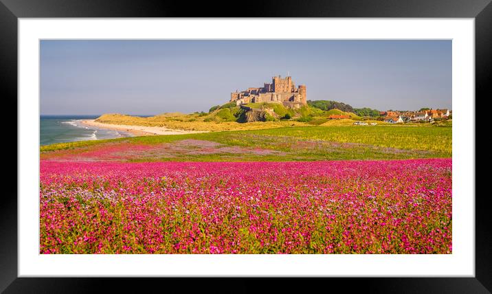 Red Campion and Mighty Castle Framed Mounted Print by Naylor's Photography