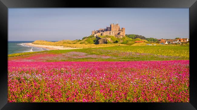 Red Campion and Mighty Castle Framed Print by Naylor's Photography