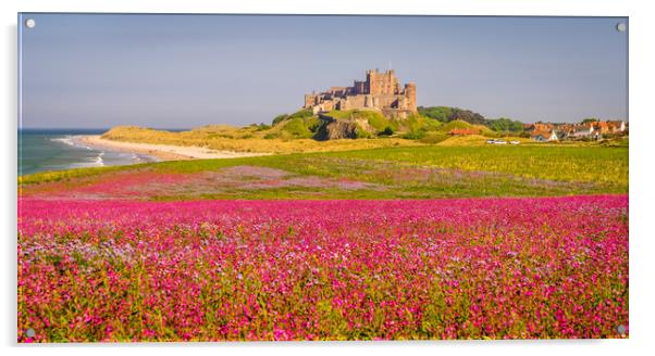 Red Campion and Mighty Castle Acrylic by Naylor's Photography