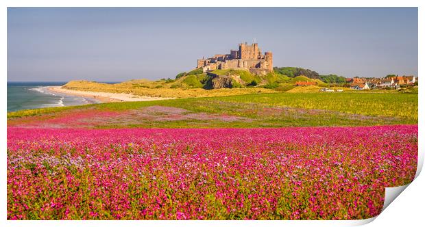 Red Campion and Mighty Castle Print by Naylor's Photography