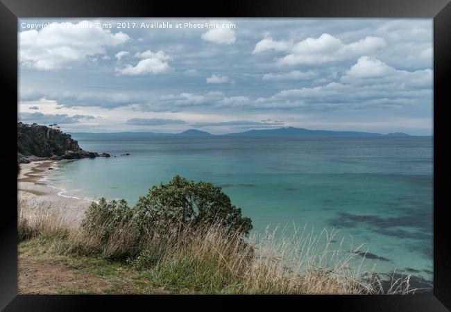 Wineglass Bay, Tasmania, Australia Framed Print by Pauline Tims