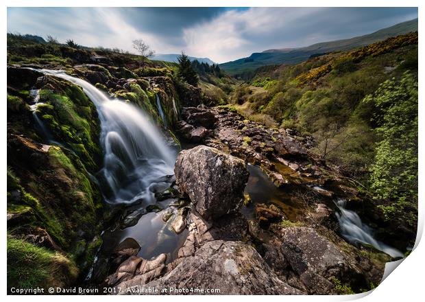Loup of Fintry Waterfall Print by David Brown