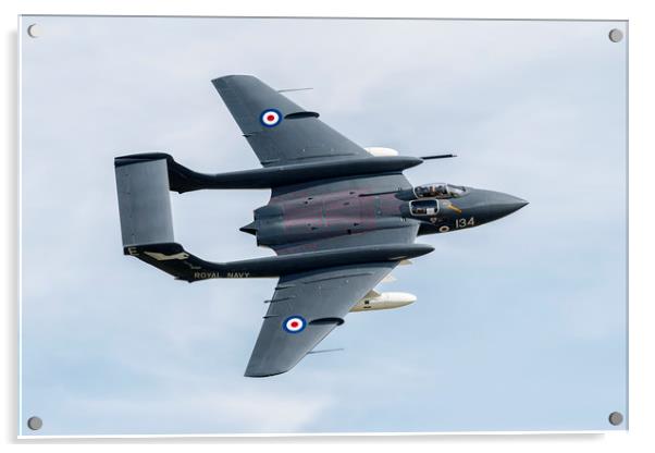 Sea Vixen Acrylic by J Biggadike