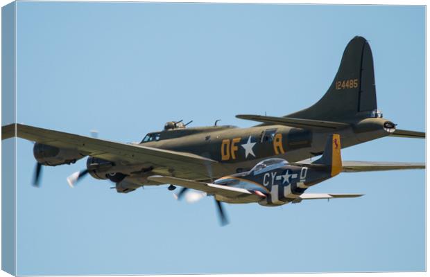 Sally B and Little Friend Canvas Print by J Biggadike