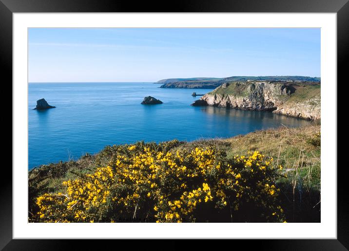 View from Berry Head Framed Mounted Print by Paul F Prestidge