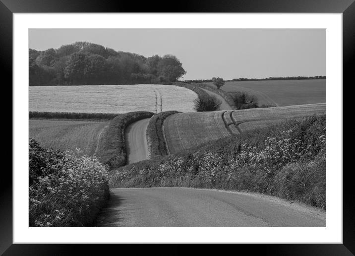 Spring Lane in Dorset Framed Mounted Print by Colin Tracy