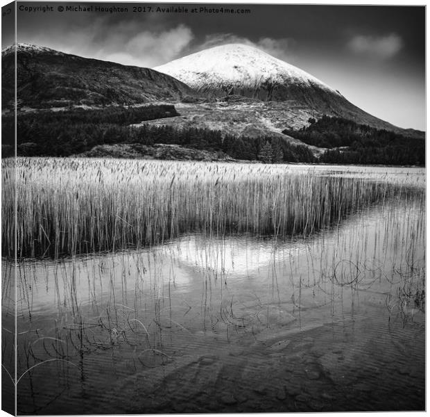Reeds on Loch Cill Chriosd Canvas Print by Michael Houghton