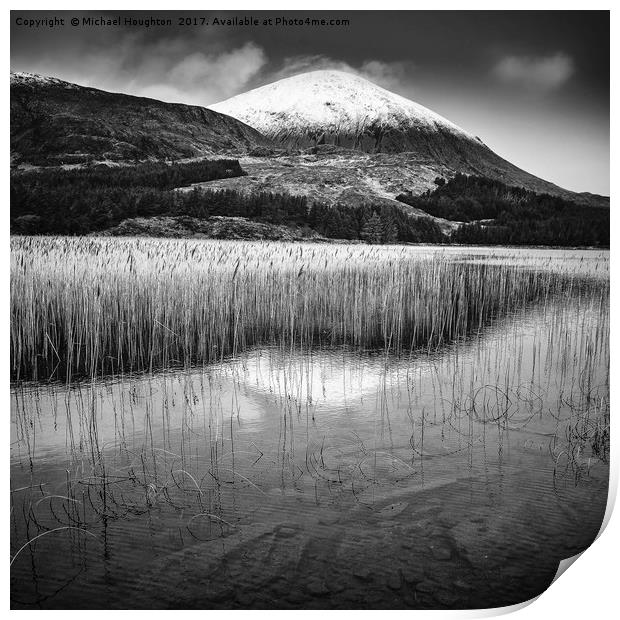 Reeds on Loch Cill Chriosd Print by Michael Houghton
