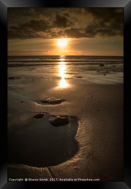 the beach at sun set Framed Print by Sharon Smith