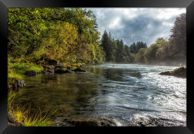 Vying for the Day Framed Print by Belinda Greb