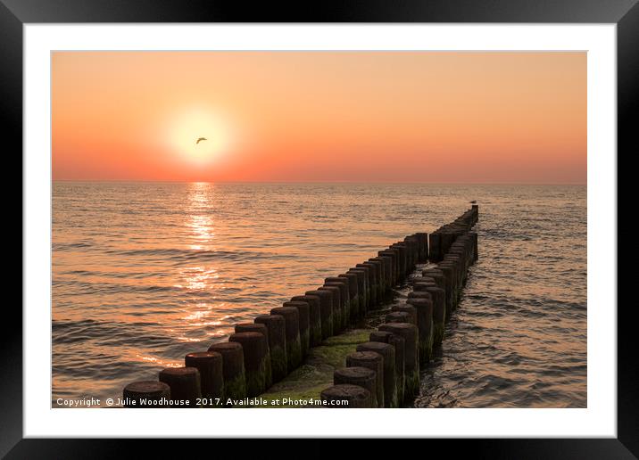 Baltic sunset Framed Mounted Print by Julie Woodhouse