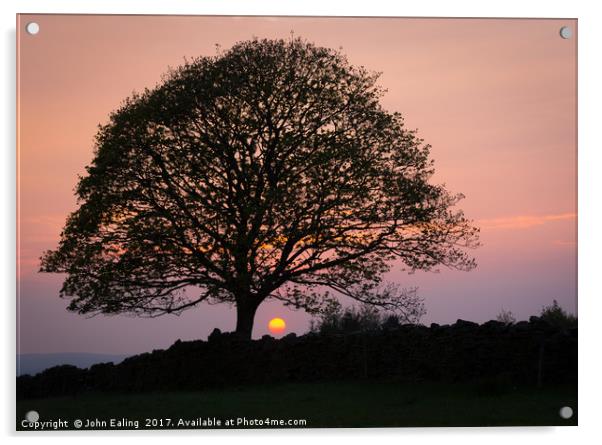 Sundown Acrylic by John Ealing